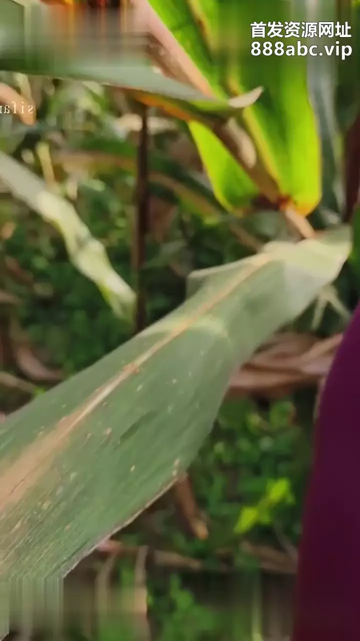 请输入图片描述